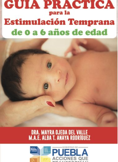 Guia practica para la estimulación temprana 0-6 años