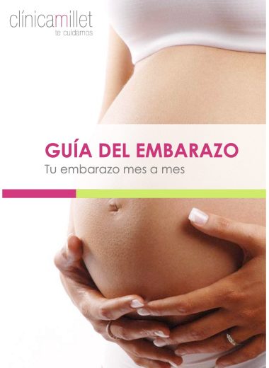 Guía del embarazo: tu embarazo mes a mes