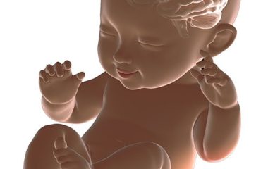 Desarrollo temprano del cerebro y salud